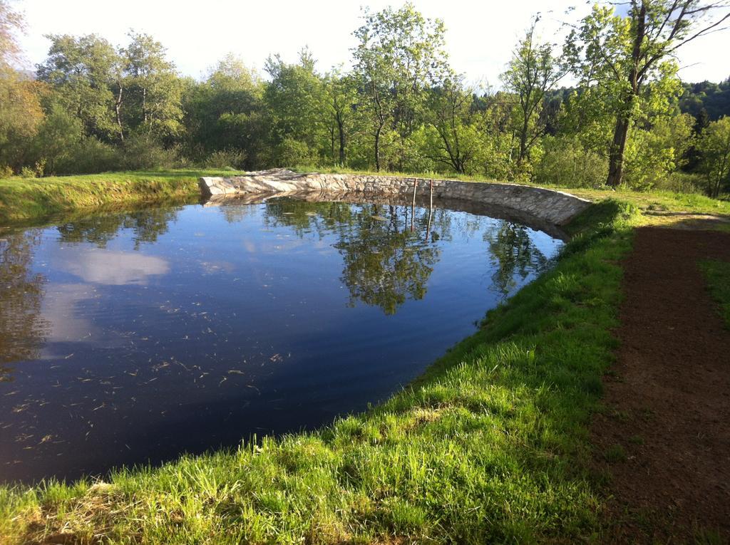 Penzion Farma Zleby Ceske Zleby Buitenkant foto