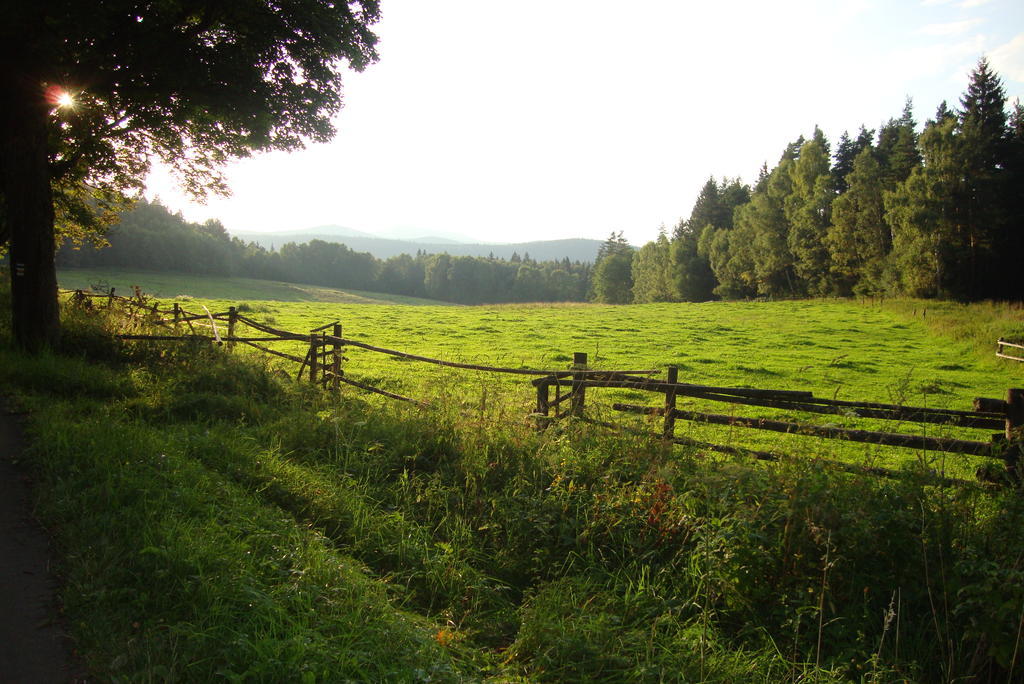 Penzion Farma Zleby Ceske Zleby Buitenkant foto