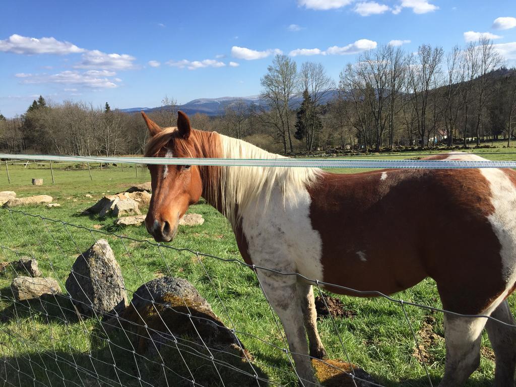 Penzion Farma Zleby Ceske Zleby Buitenkant foto